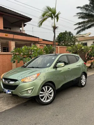 Hyundai Tucson 2010 Vert