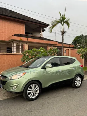 Hyundai Tucson 2010 Vert