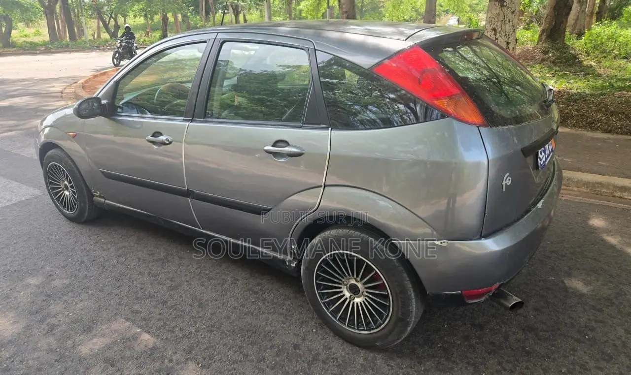 Ford Focus 2003 Gris