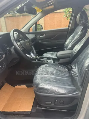 Hyundai Santa Fe 2020 Gris