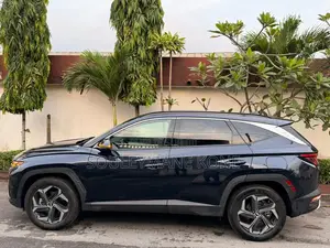 Hyundai Tucson 2024 Blue