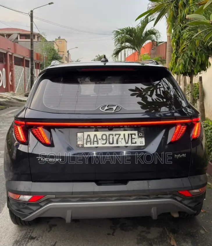 Hyundai Tucson 2024 Blue