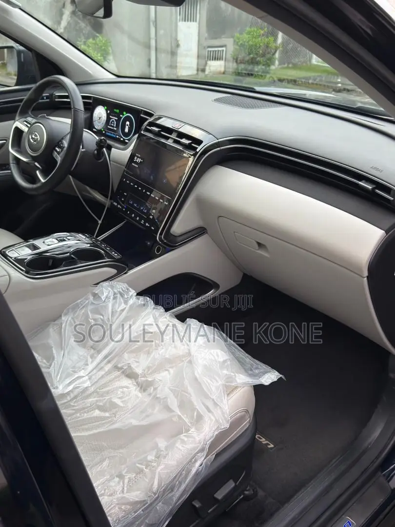 Hyundai Tucson 2024 Blue