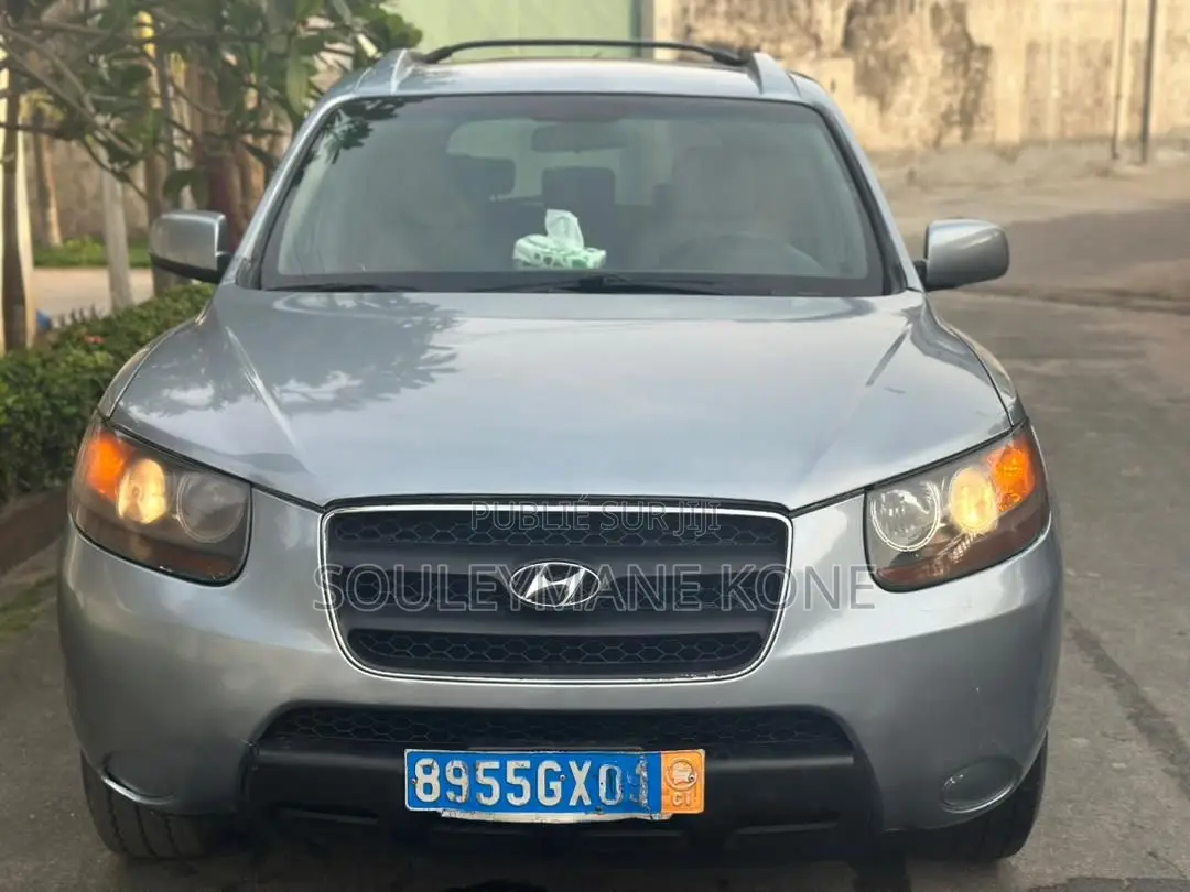 Hyundai Santa Fe 2008 Gris