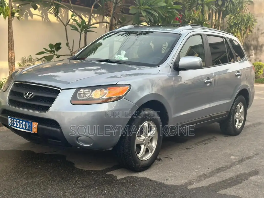 Hyundai Santa Fe 2008 Gris