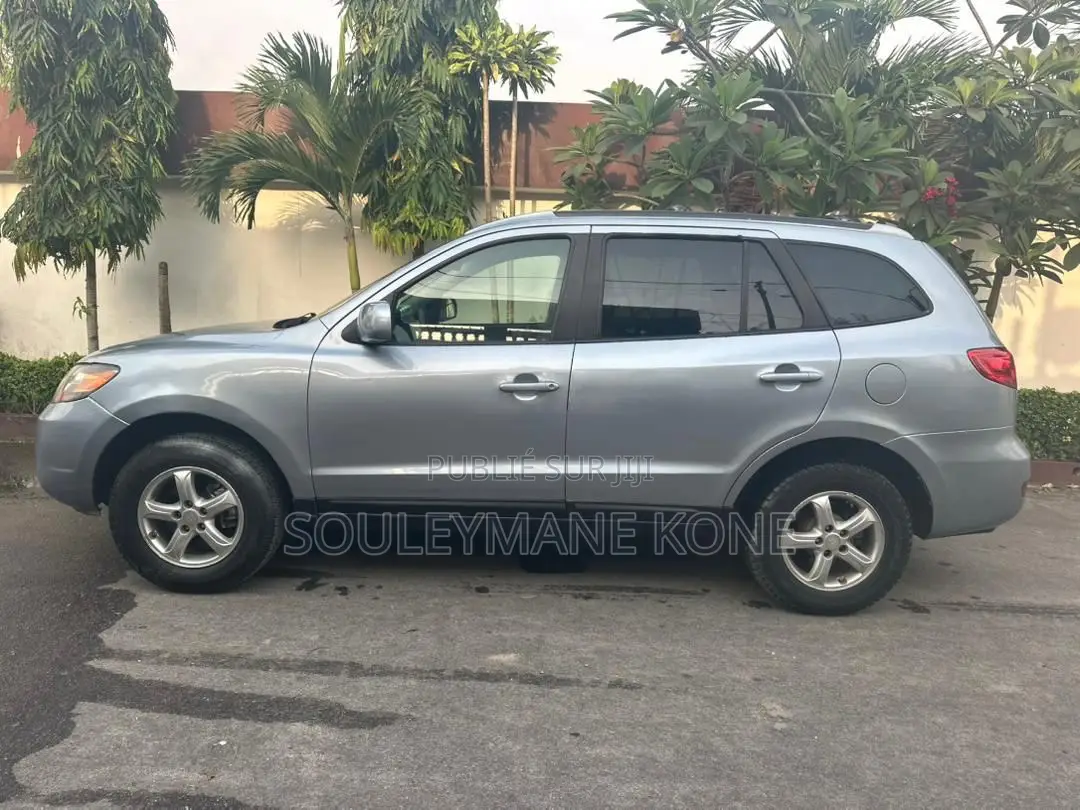 Hyundai Santa Fe 2008 Gris