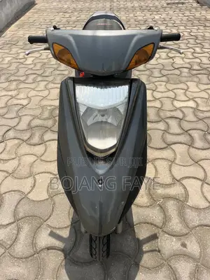 Yamaha 2007 Gris