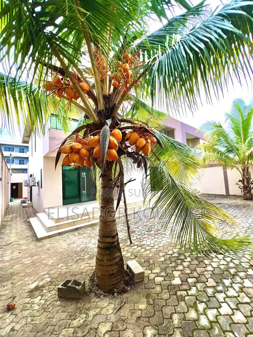 6chbre Duplex dans Elisador Koualet, Grand-Bassam à Vendre