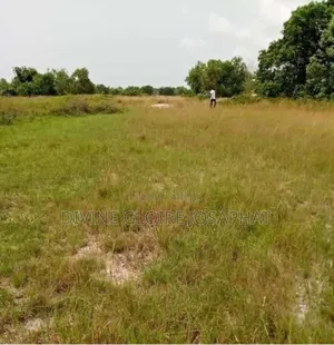 Vente De Terrain À Assinie