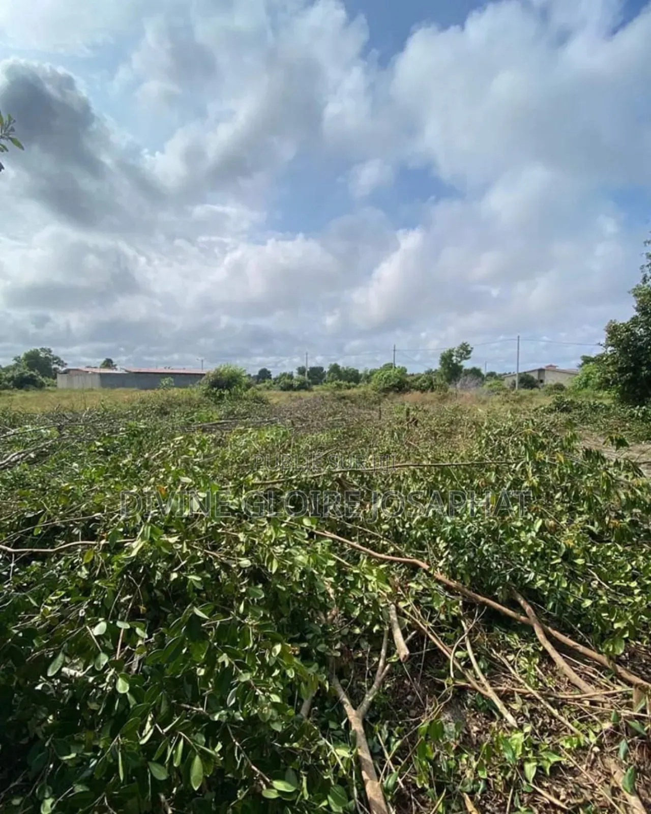 Vente De Terrain À Assinie