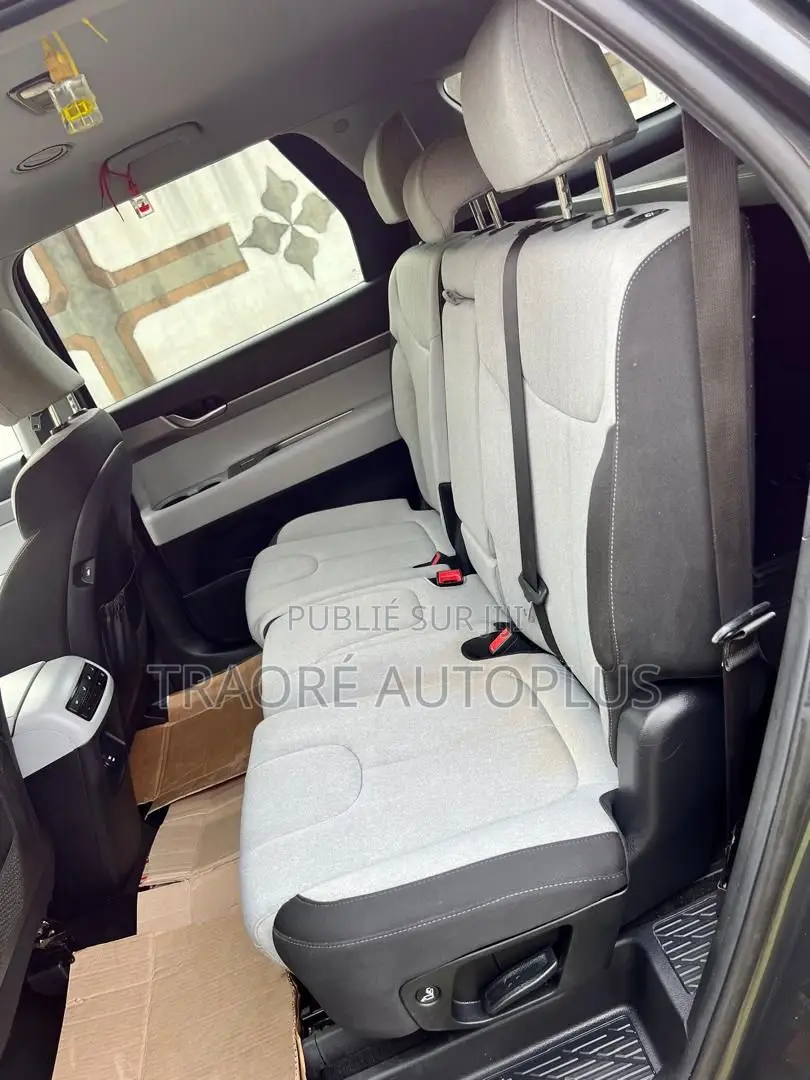 Hyundai Palissade 2020 Beige