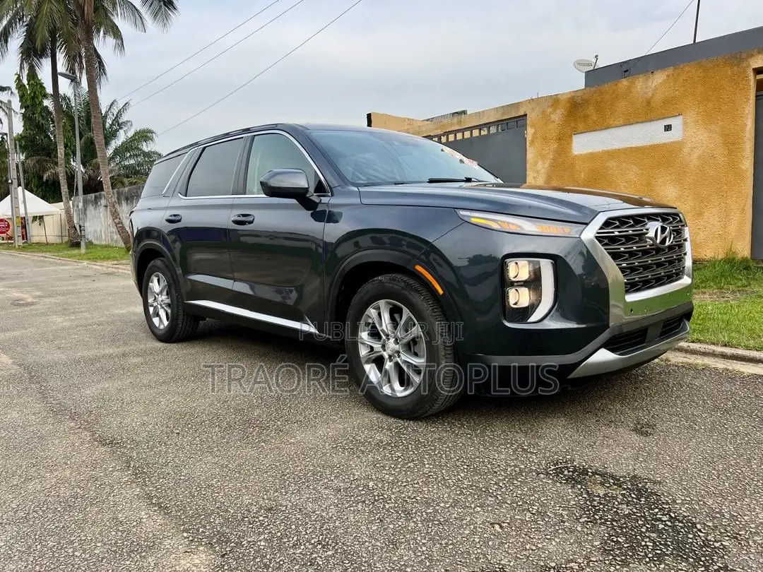 Hyundai Palissade 2020 Beige