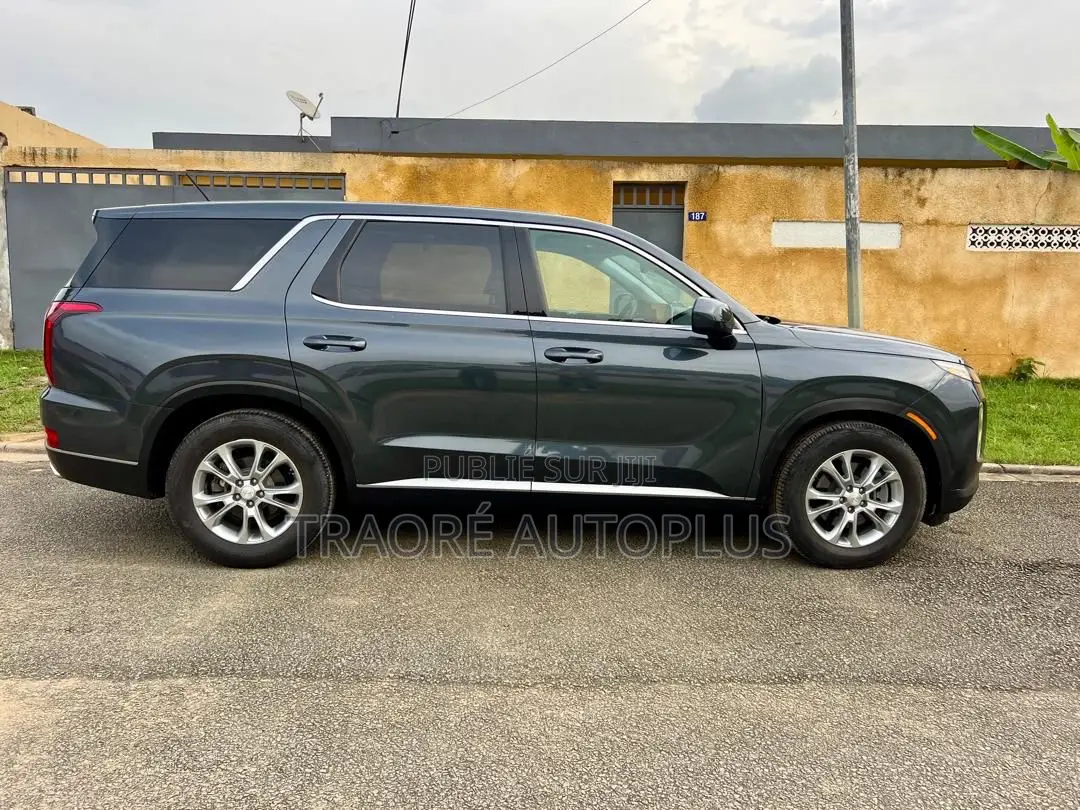 Hyundai Palissade 2020 Beige