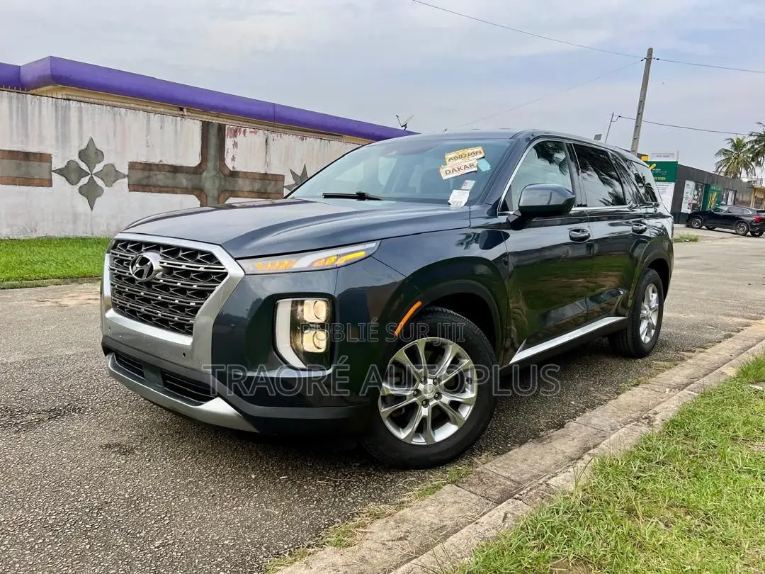 Hyundai Palissade 2020 Beige