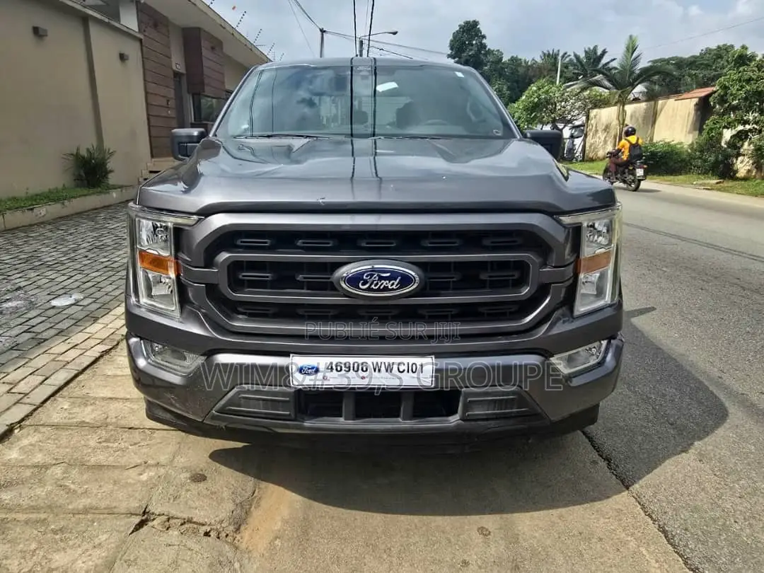 Ford F-150 2021 Gris