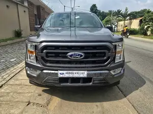Ford F-150 2021 Gris