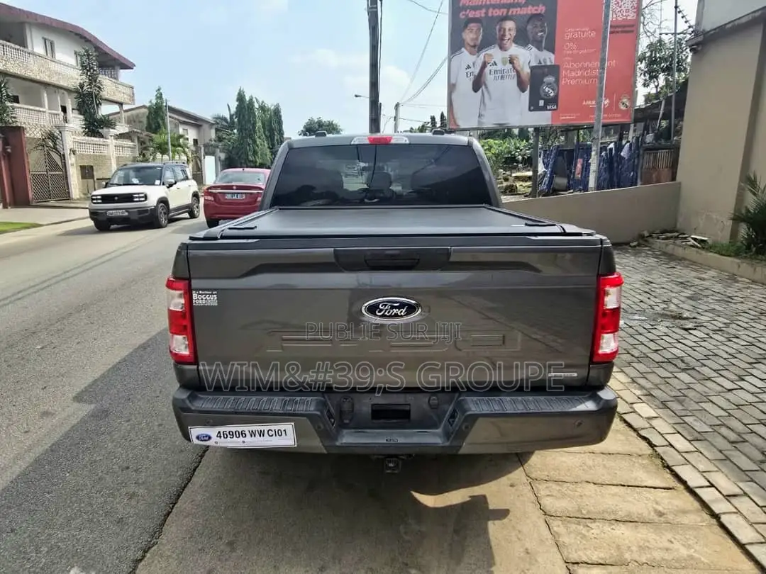 Ford F-150 2021 Gris