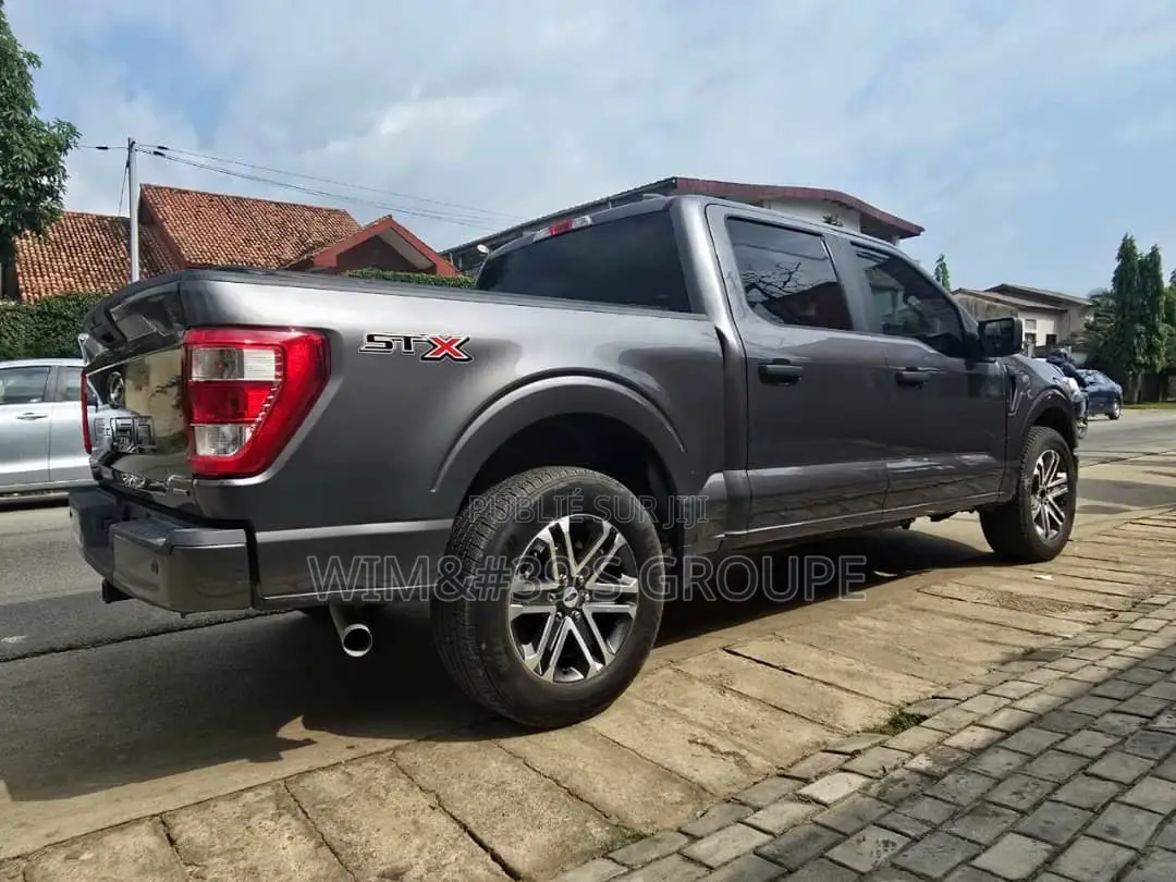 Ford F-150 2021 Gris