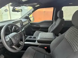 Ford F-150 2021 Gris