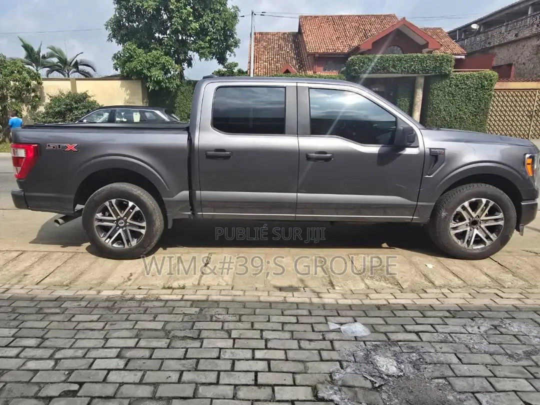 Ford F-150 2021 Gris