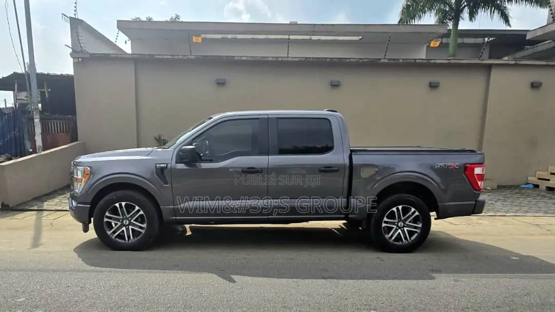 Ford F-150 2021 Gris