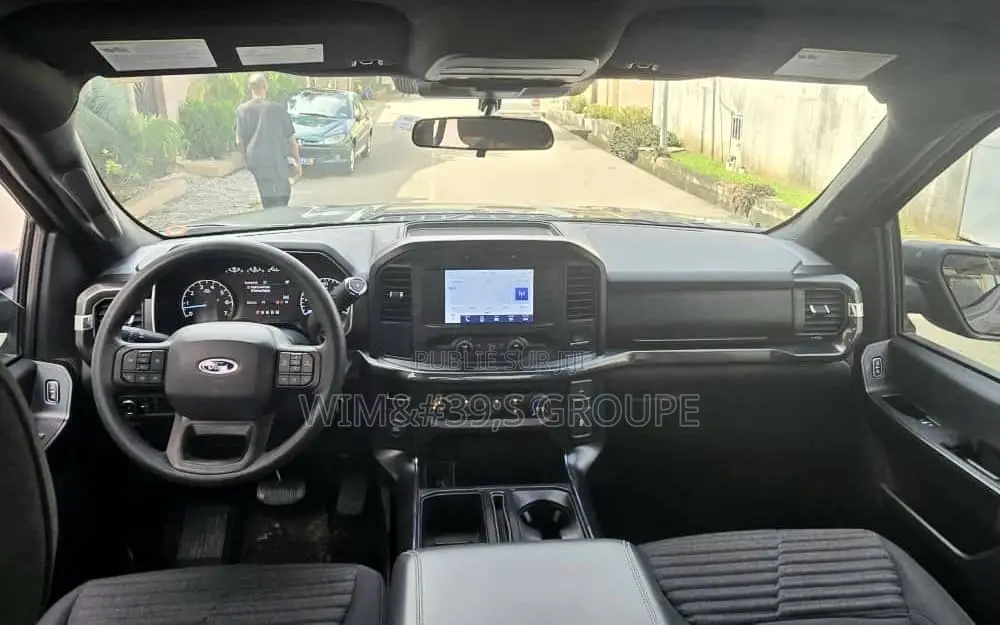 Ford F-150 2021 Gris