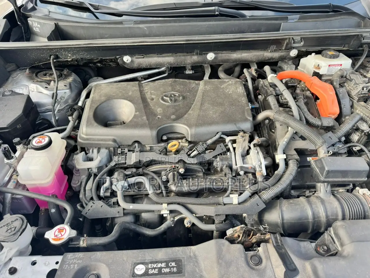 Toyota RAV4 XLE 2021 Gris