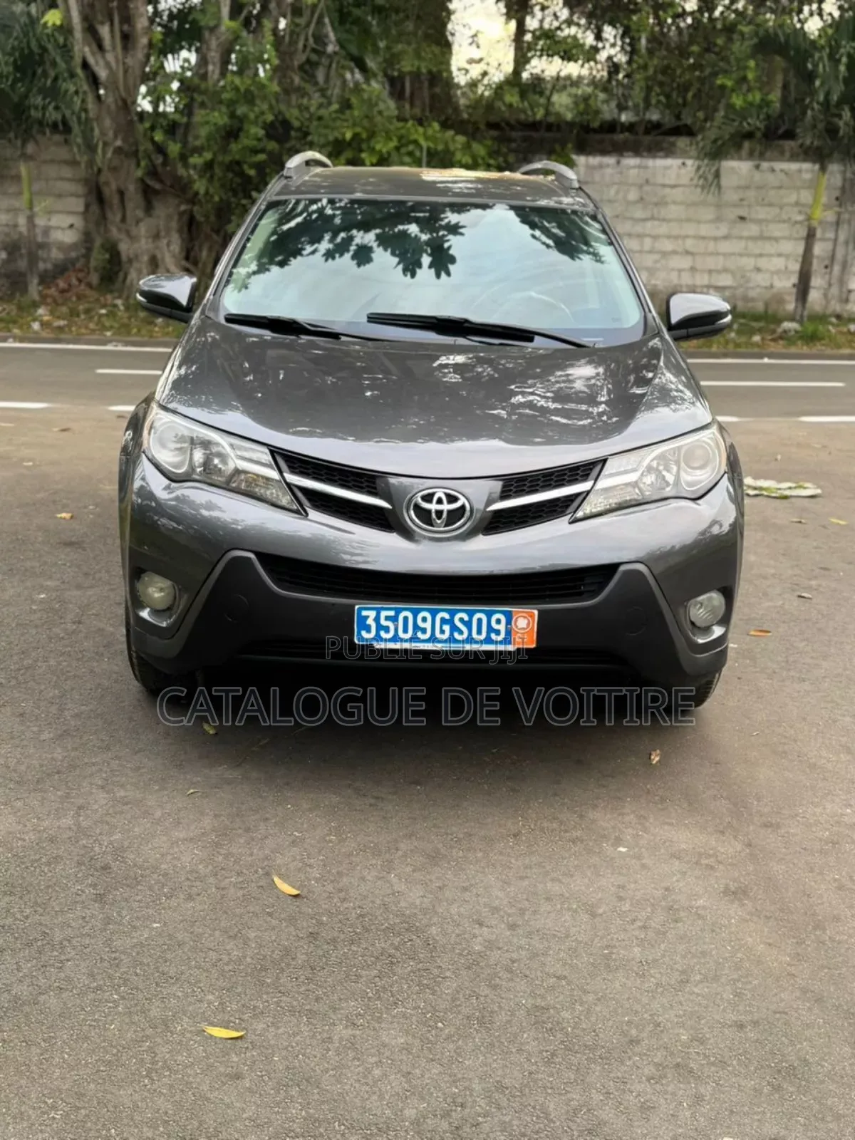Toyota RAV4 2015 Gris