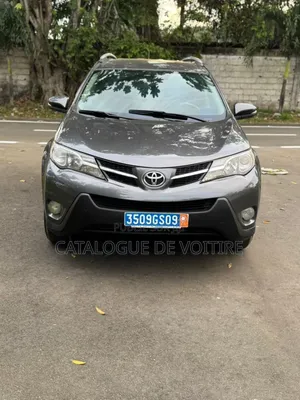 Toyota RAV4 2015 Gris