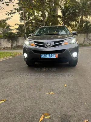 Toyota RAV4 2015 Gris