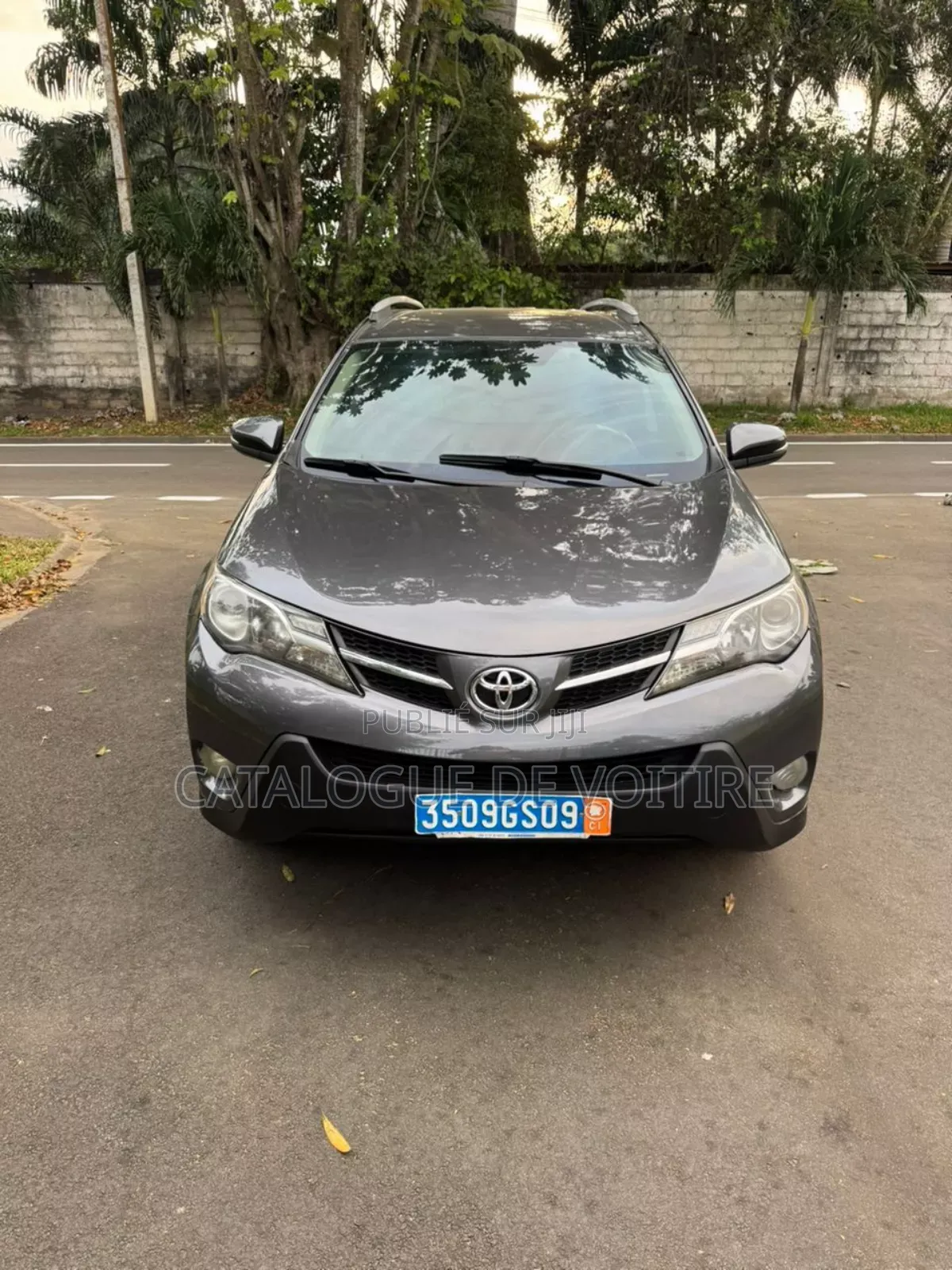 Toyota RAV4 2015 Gris