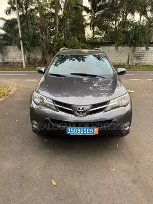 Toyota RAV4 2015 Gris