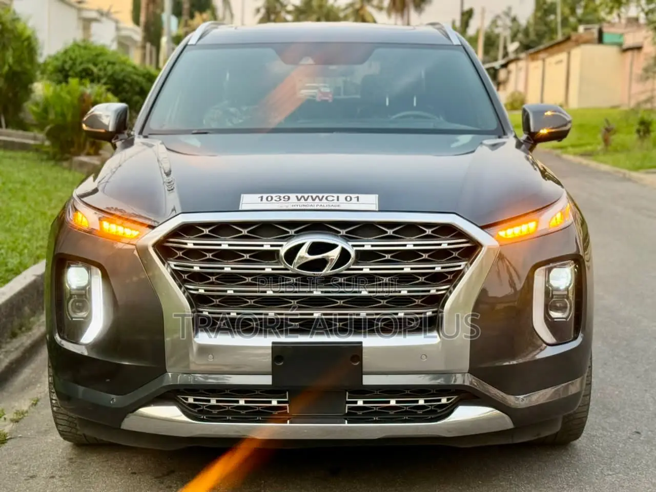 Hyundai Palissade 2021 Gris