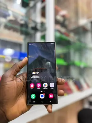 Samsung Galaxy S24 Ultra 256 GB Autre