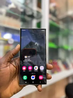 Samsung Galaxy S24 Ultra 256 GB Autre