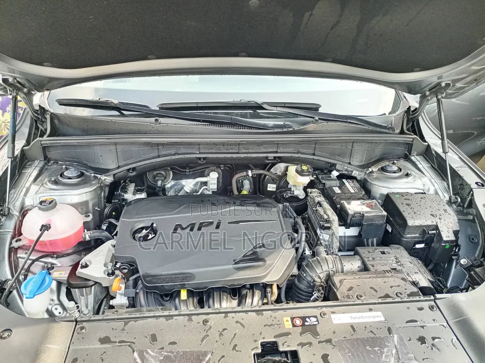 New Kia Sorento 2025 Gris