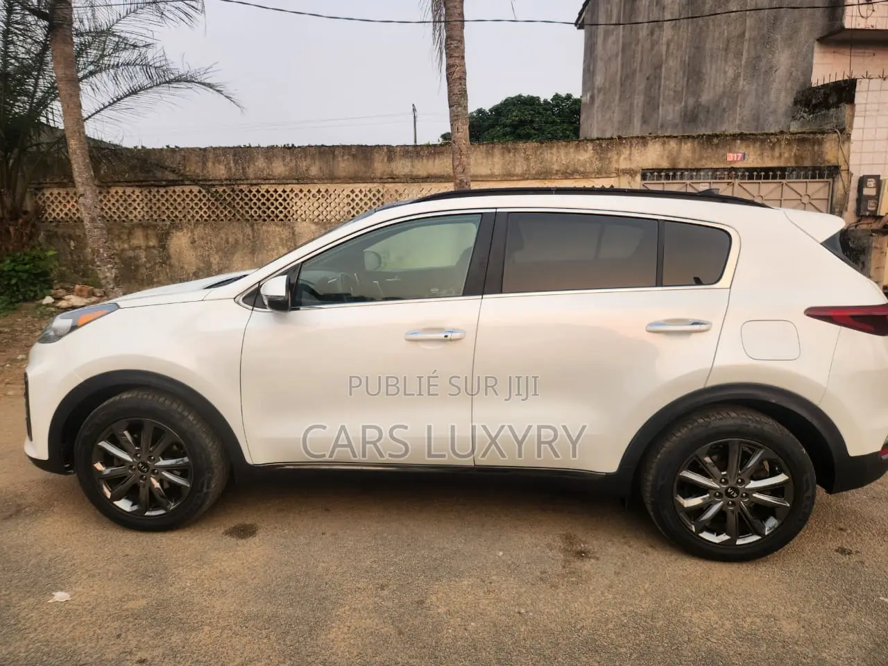 Kia Sportage EX 2021 Blanc