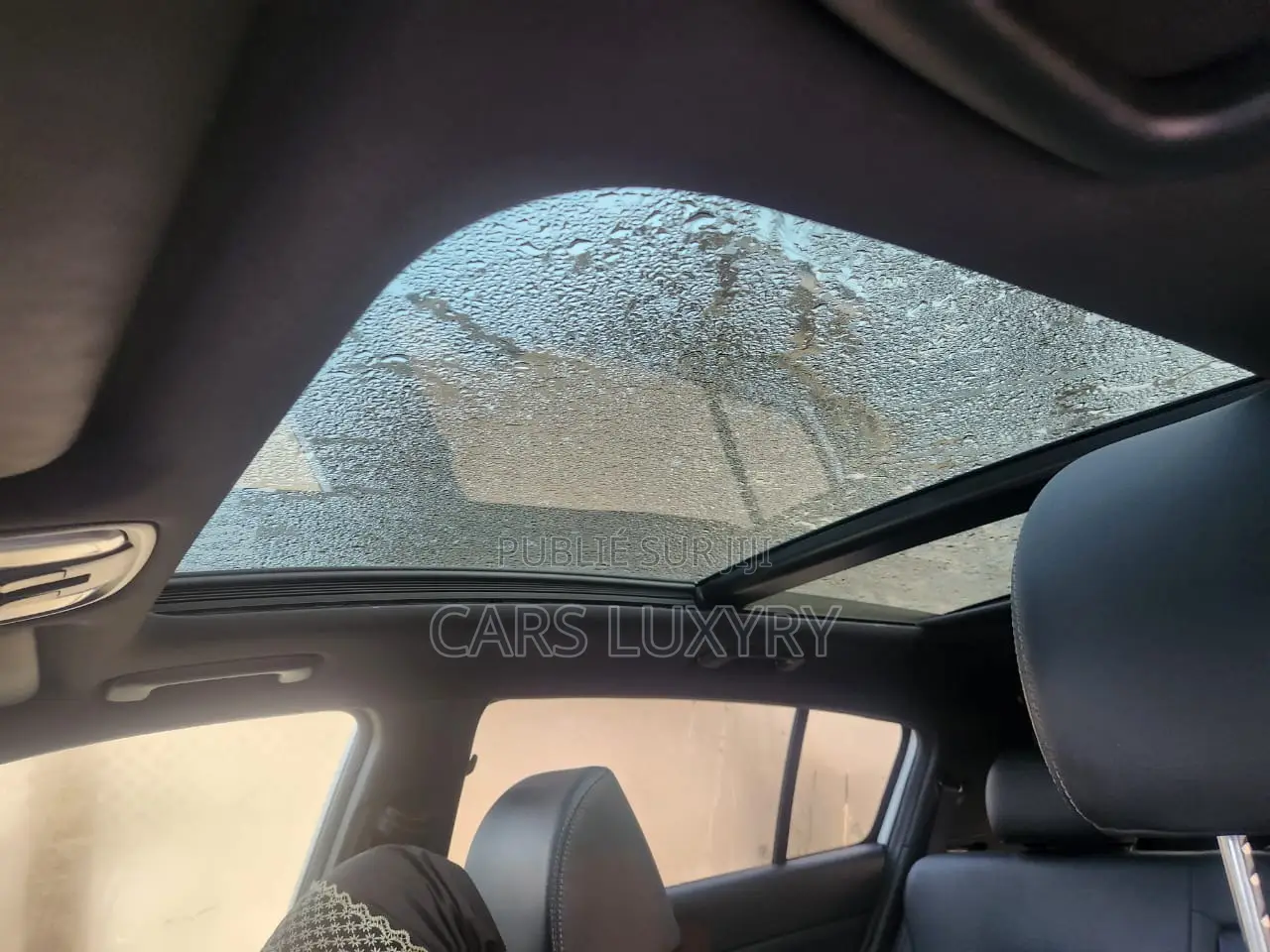 Kia Sportage EX 2021 Blanc