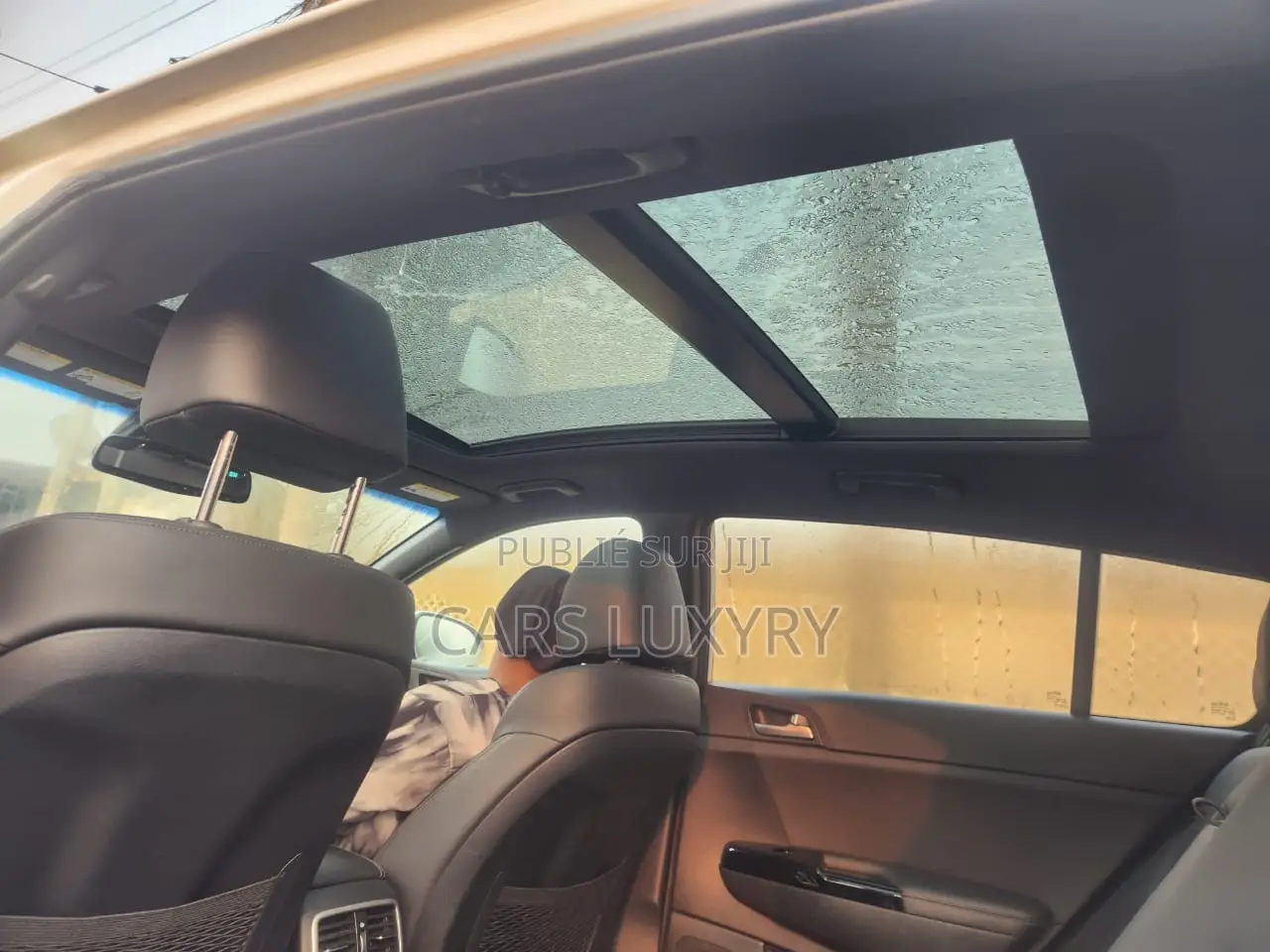 Kia Sportage EX 2021 Blanc