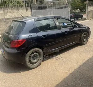 Peugeot 307 2004 Bleu
