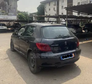 Peugeot 307 2004 Bleu