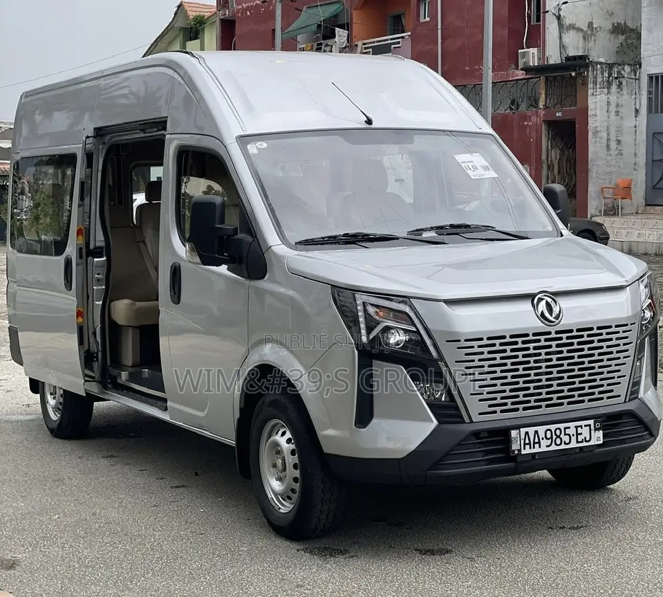 New Dongfeng EV EX1 33 kW FWD 2024 Gris