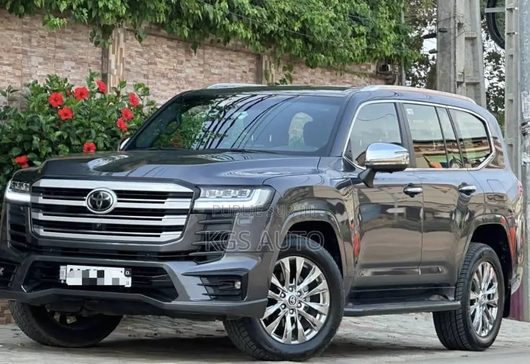 Toyota Land Cruiser 2024 Gris
