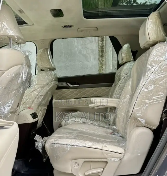 Hyundai Palissade Calligraphy 2021 Gris