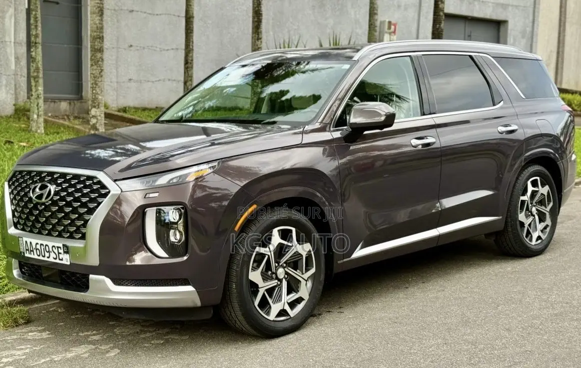 Hyundai Palissade Calligraphy 2021 Gris