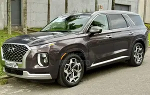 Hyundai Palissade Calligraphy 2021 Gris