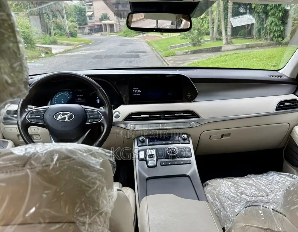 Hyundai Palissade Calligraphy 2021 Gris