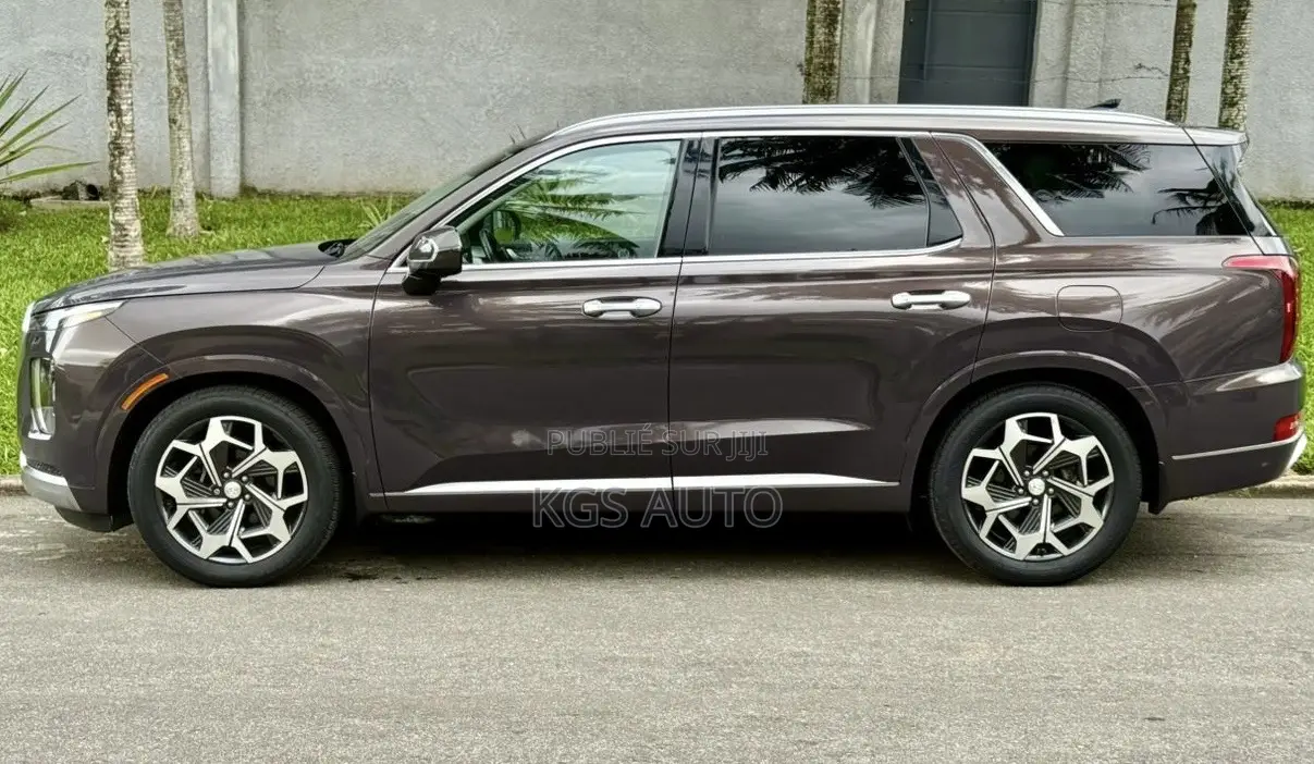 Hyundai Palissade Calligraphy 2021 Gris