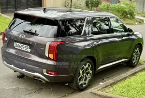 Hyundai Palissade Calligraphy 2021 Gris