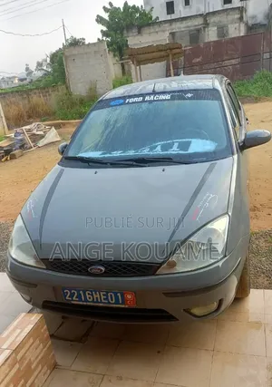 Ford Focus 2003 Gris